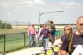 pimenta/dsc_7992.jpg